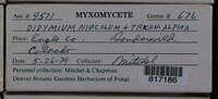 Image Associated With the Occurence